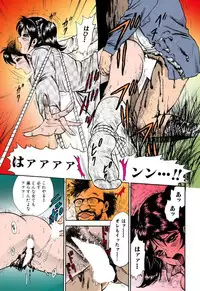 [Chikaishi Masashi] Shojo Renzoku Goukan [Digital]