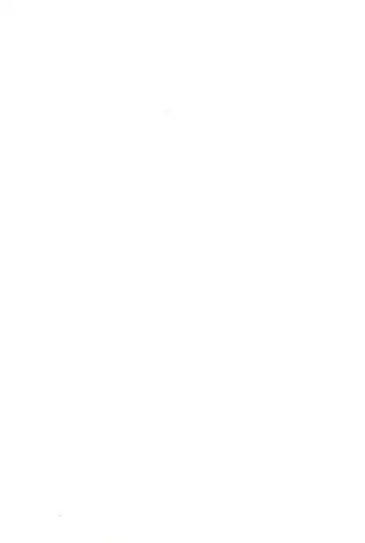 (C66) [Mutekei Fire (Yuuichi)] ND-special Volume 4 (Various)