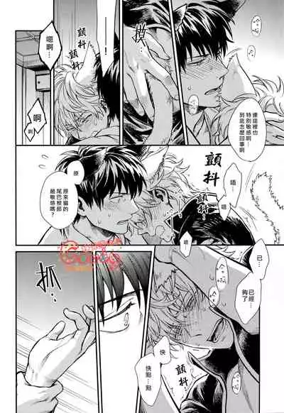 (HaruCC19) [3745HOUSE (MIkami Takeru)] Like cat and dog (Gintama) [Chinese] [糖分漢化組]