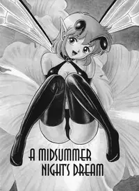 [Kondom] The New Bondage Fairies Issue 10 [ENG][Hi-Res]