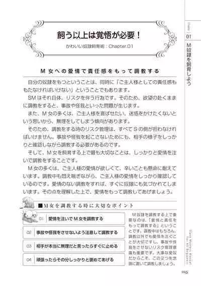 Zero kara Hajimeru SM Manual Kawaii Dorei Shiikujutsu