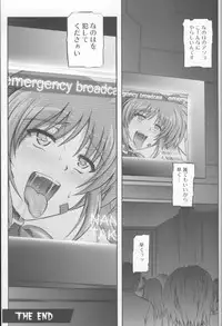 (C79) [Cyclone (Izumi, Reizei)] 767B (Mahou Shoujo Lyrical Nanoha)