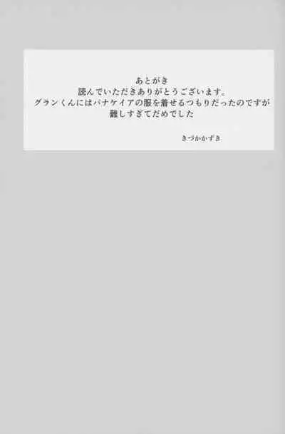 (C101) [Ikkizuka (Kizuka Kazuki)] Chitsujo Hustle! (Granblue Fantasy)