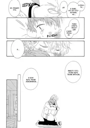 The Daydreamer Falls in Love