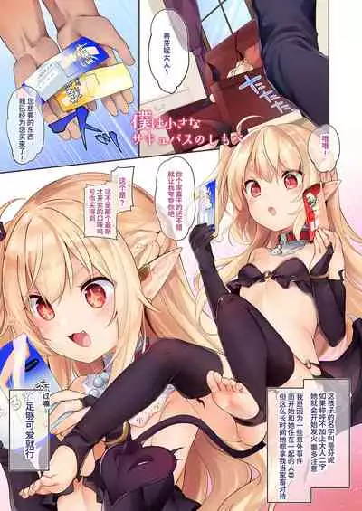 Boku wa Chiisana Succubus no Shimobe Soushuuhen