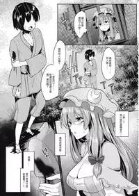 (Reitaisai14) [Kuusou Monochrome (Abi)] Sasimin Patche (Touhou Project) [Chinese] [CE家族社]