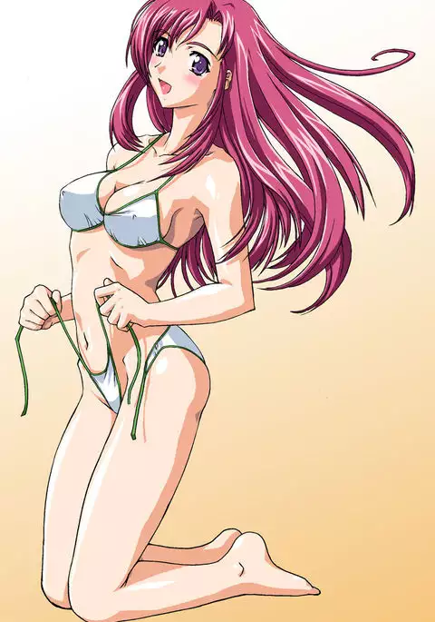 Misoya CG Collection CD-ROM Volume 13 Bitter