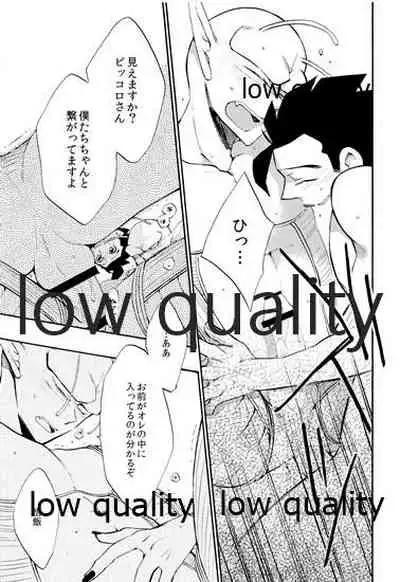 [ROKUJO DAYS (Yoshidaya Roku)] Koi Suru Shinkaron (Dragon Ball Z)