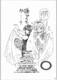 (CR36) [Toko-ya (Kitoen)] Dai Gakeppuchi (Various)