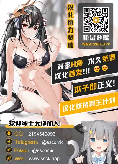 Hideyoshi Director's Cut