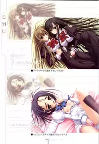 Otome wa boku ni koi shiteru Visual Fanbook (Otoboku)