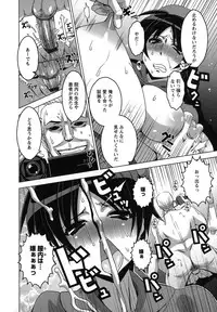 [HG Chagawa] Mesuinu no Hibi