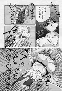 [Hazuki Shishimaru] aigan bishoujo teki seikatsu no susume