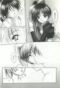 [FINAL EVOLUTION S-RS (ZAN, Chosuke)] VISUAL DESIRE 2 (With You)