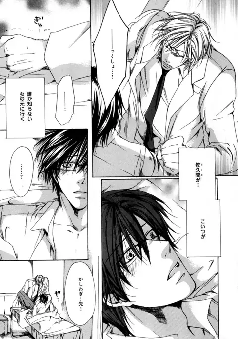 b-BOY Phoenix Vol.11 Shiroisha Tokushuu