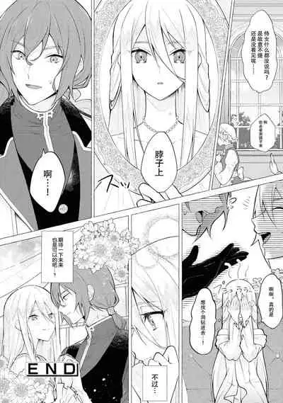 kōri no reijō to honō no ōji | 冰公主与炎王子