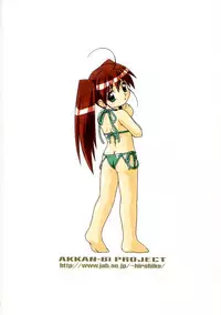 (C62) [Akkan-Bi Project (Yanagi Hirohiko)] ACTG II (Dead or Alive)
