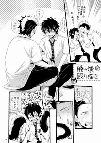 [Panda 4gou (Shima Kyousuke)] Twins (Ao no Exorcist)