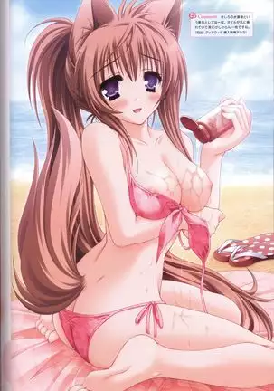 Tayutama -It's happy days- Visual Fanbook