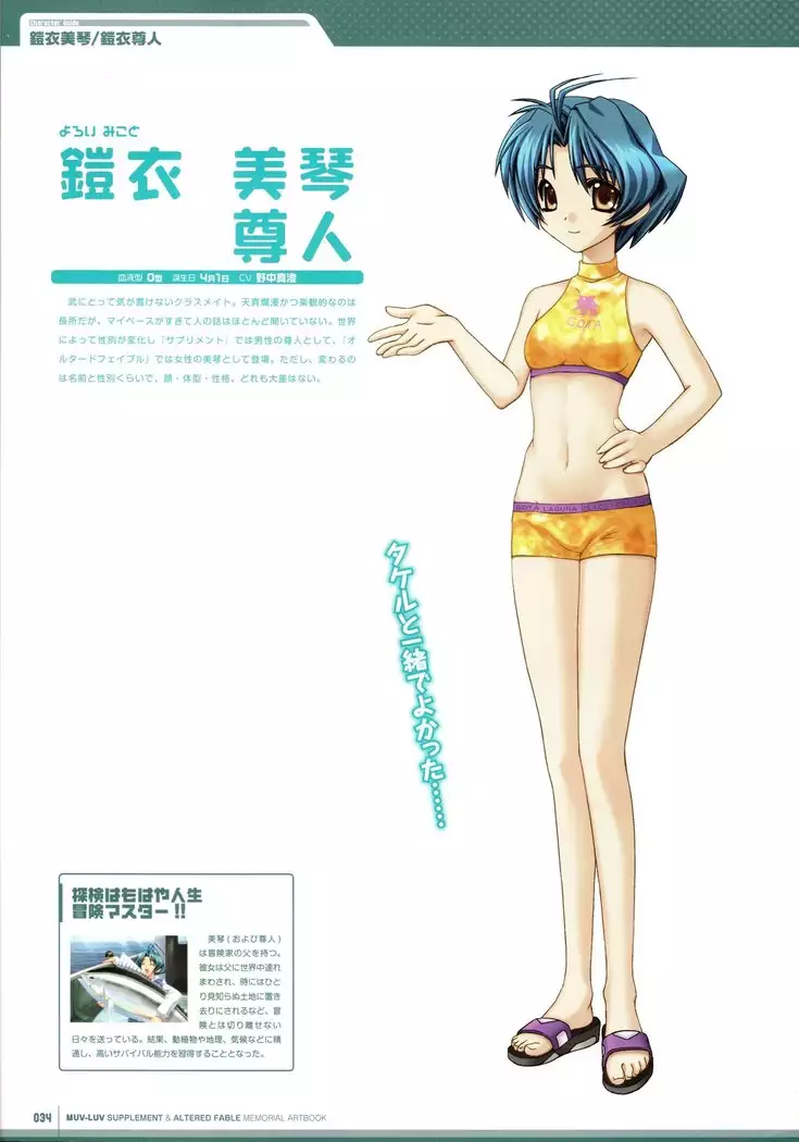 Muv-Luv Supplement & Altered Fable Memorial Art Book