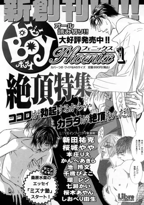 b-BOY Phoenix Vol.2 Busaiku Tokushuu