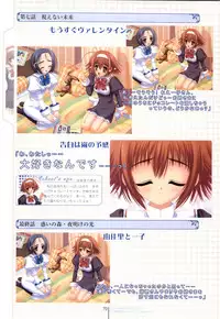 Otome wa boku ni koi shiteru Visual Fanbook (Otoboku)