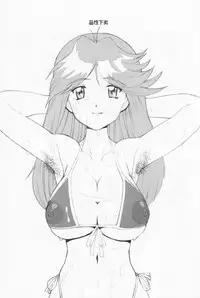 (CR29) [GADGET Koubou (A-10)] Hinsei Geretsu