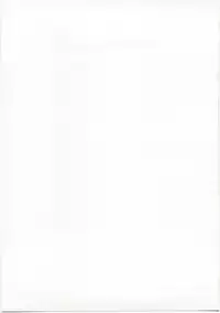 (C74) [Kakogawa-ya (Kakogawa Tarou)] Party Bullets (Mahou Shoujo Lyrical Nanoha)