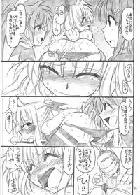 (C76) [EINSATZ GRUPPE (Charlie Nishinaka)] Ah! Fate-sama (Mahou Shoujo Lyrical Nanoha)