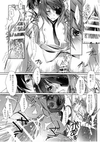 (COMIC1☆5) [RYU-SEKI-DO (Nagare Hyo-go)] LS Lovers Striker II (IS <Infinite Stratos>)