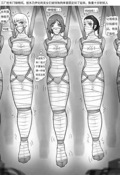 Slave Correctional Institution