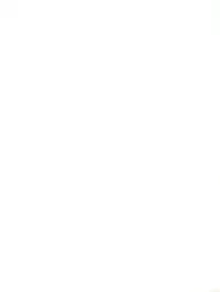 (C35) [Shishamo House (Araki Akira)] Elfin 2 (Sonic Soldier Borgman)