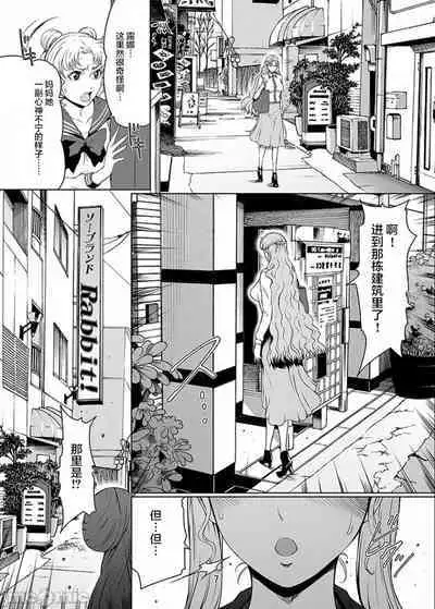 Sailor Lovers (Sailor Moon