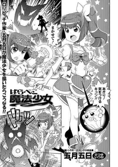 Mahou Shoujo ga Sekai o Mamoru tame no Chitsunaishasei