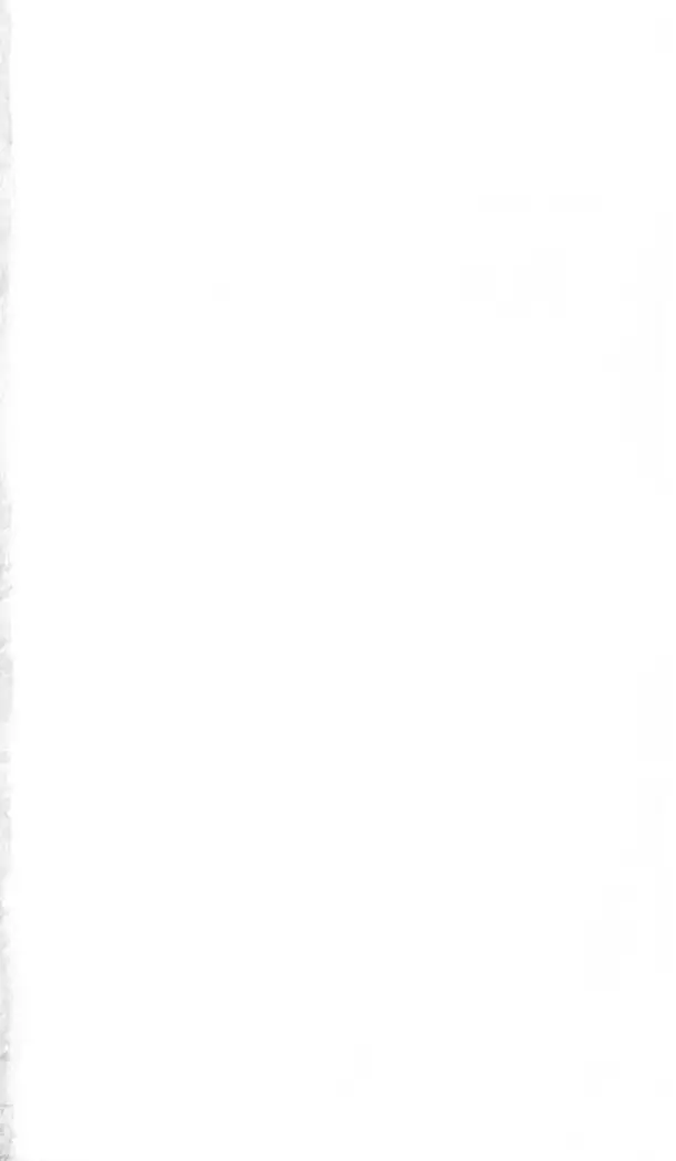 FORTUNE ARTERIAL 白編