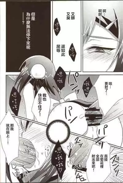 Hideyoshi Director's Cut