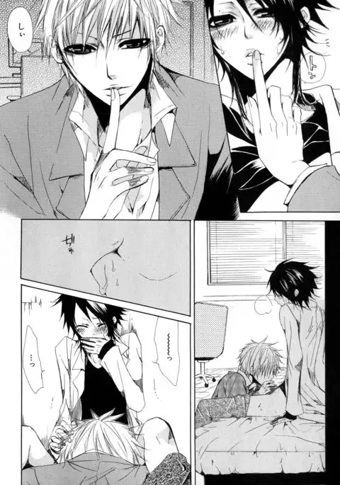 b-BOY Phoenix Vol.11 Shiroisha Tokushuu