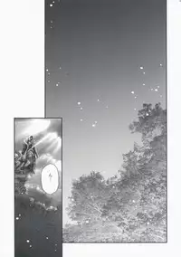 (C75) [Przm Star (Kamishiro Midorimaru, QuanXing)] Optical Storm (Valkyrie Profile)