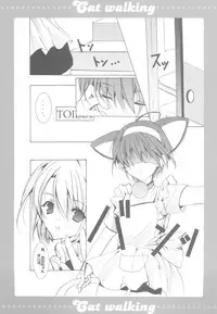 (C68) [TAKANAEDOKO (Hiyoshi Ruma, Takanae Kyourin)] Cat walking (Doraemon)