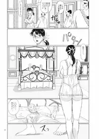 (C73) [Shiawase Pullin Dou (Ninroku)] Package Meat 2 (Queen's Blade)