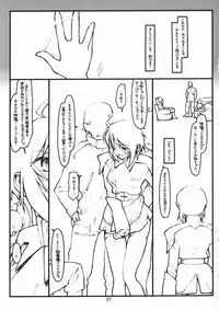 (SC28) [bolze. (rit.)] Miscoordination. (Mobile Suit Gundam SEED DESTINY)