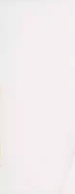 [Shinrin Tamago] Oneesama no Iitsuke