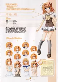 Shuffle! - Visual Fan Book