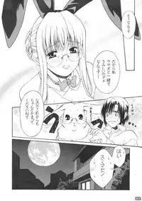 [Messe Sanoh (Various)] FUNNY BUNNY