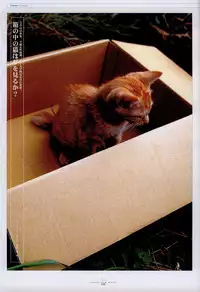 Suigetsu Visual Fan Book [Incomplete]