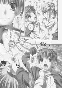 (C75) [PLANET PIECE (Hiya)] white feathers (Fate/unlimited codes)