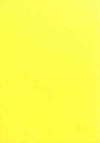 Sawamura Spencer Eriri no Rinri Shinsakai Append