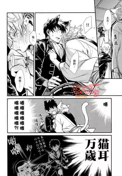 (HaruCC19) [3745HOUSE (MIkami Takeru)] Like cat and dog (Gintama) [Chinese] [糖分漢化組]