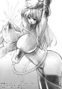 (C73) [Digital Tambourine (hiiaru)] predilection.