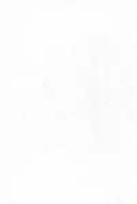 (Kouroumu 4) [CIRCLE ENERGY (Imaki Hitotose)] Touhou Pantsu (Touhou Project)